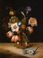 J. Hannah for LACMA (Morning Glory)